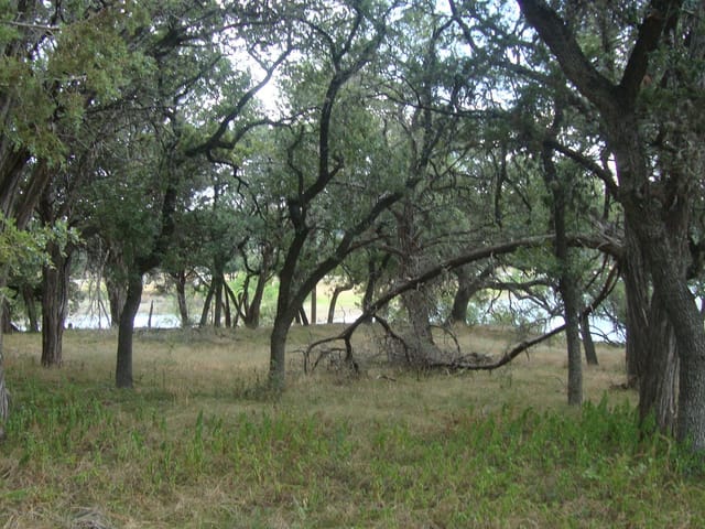 6703 Bar K Ranch RD