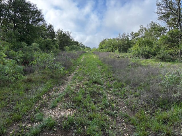683 County Road 467