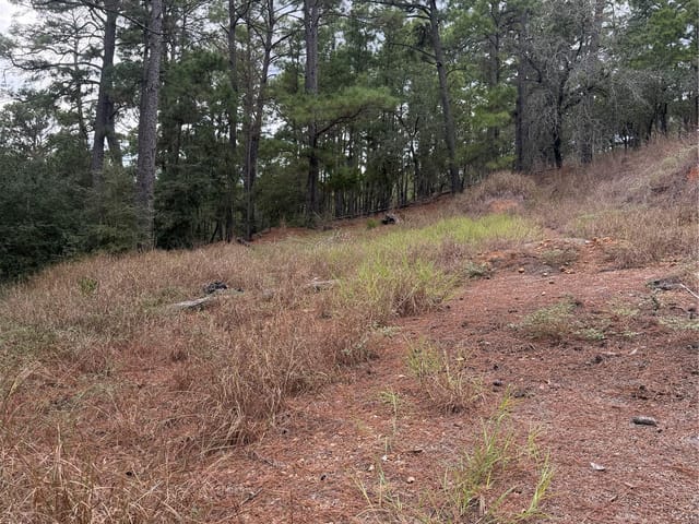 Lot 69 and 70 Taro CT