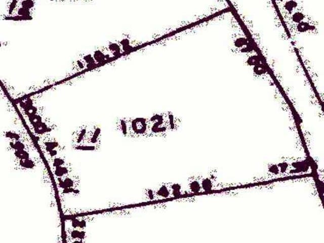 6909 LIVE OAK DR