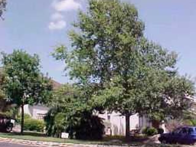 6910 HART LN Unit #211