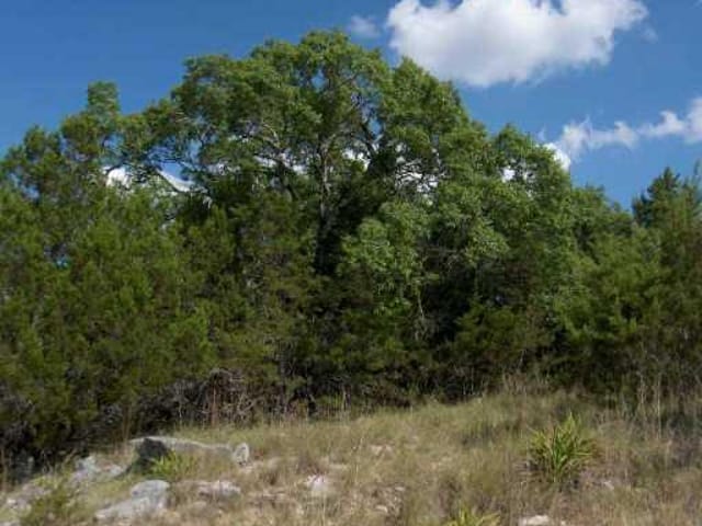 7 Oak Tree TRL