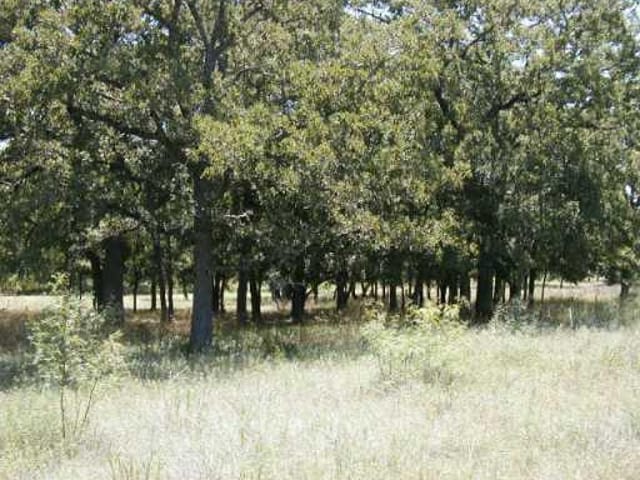 700 Cimarron Hills TRL