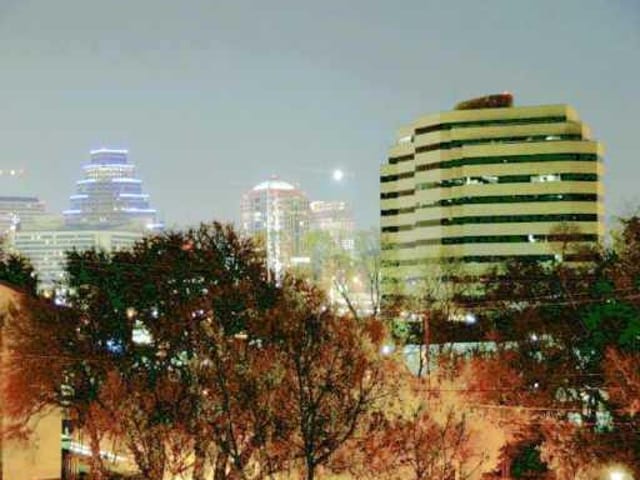 700 S 1ST St Unit #209
