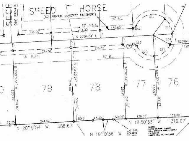 700 Speed Horse