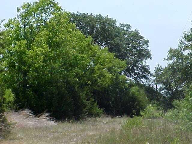 7090 County Road 330