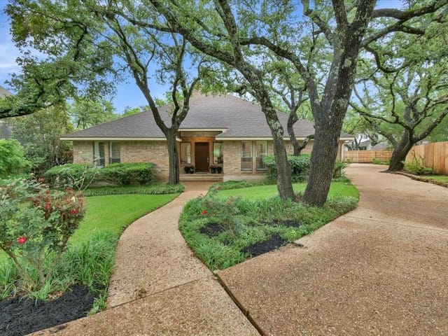 7100 Fig Vine Cv