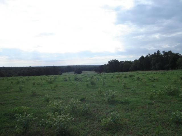 725 Old Sayers RD