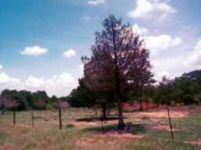 7402 VISTA RANCH RD