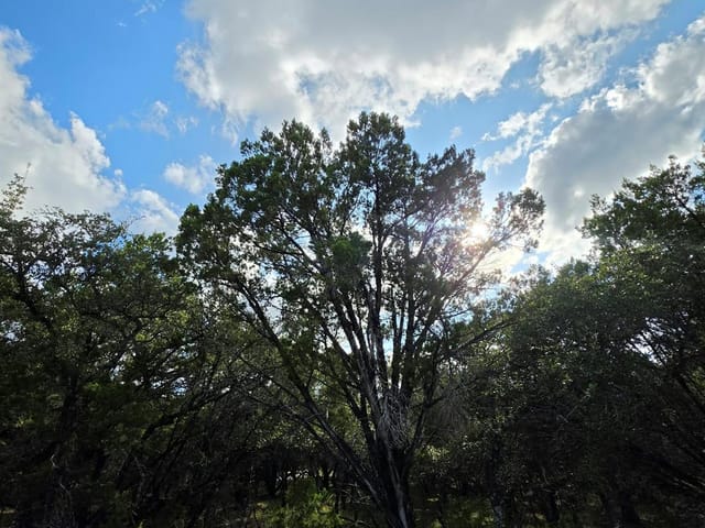 7623 Sagebrush TRL