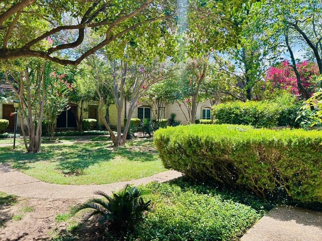 7801 Shoal Creek BLVD Unit #246