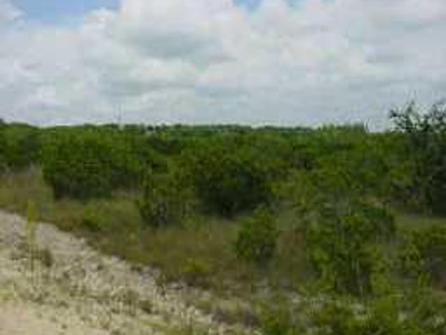 8 Acres