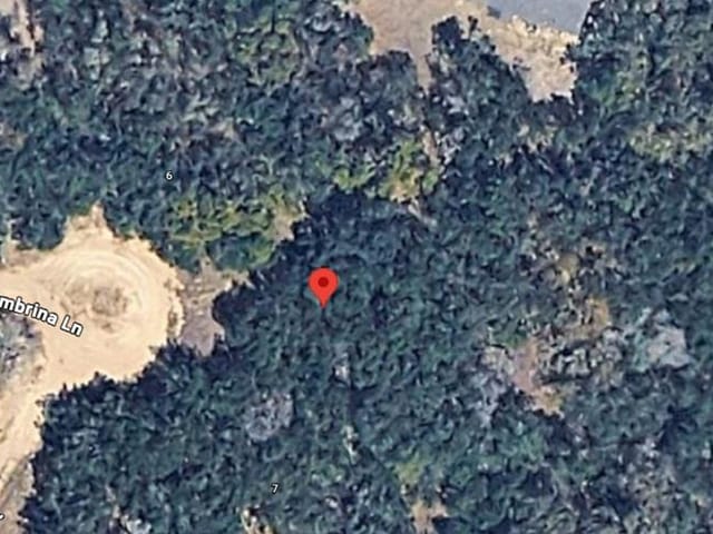 8 Columbrina LN