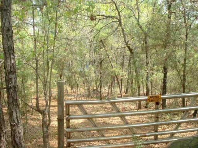 80 Porter RD