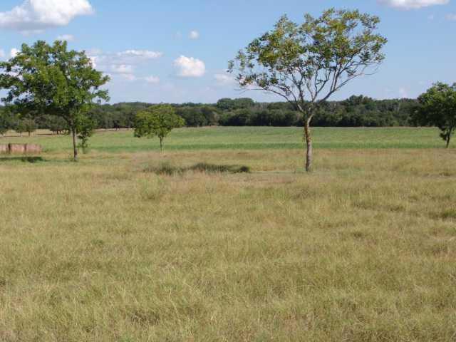 800 County Road 347