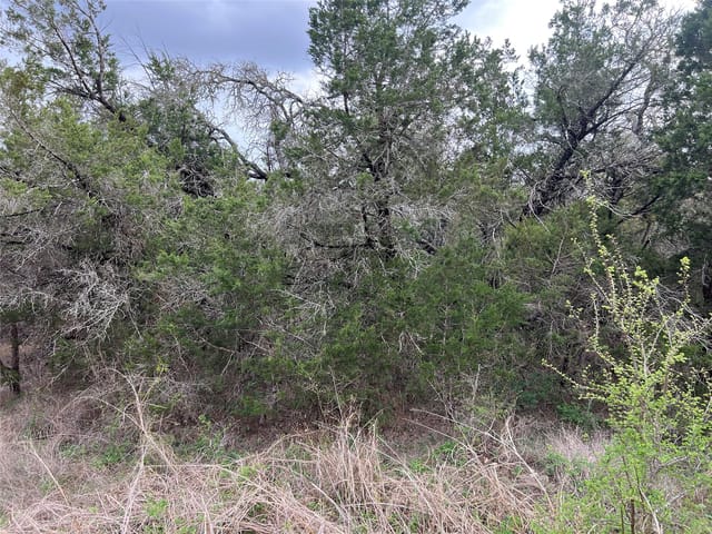 800 Fox Rd