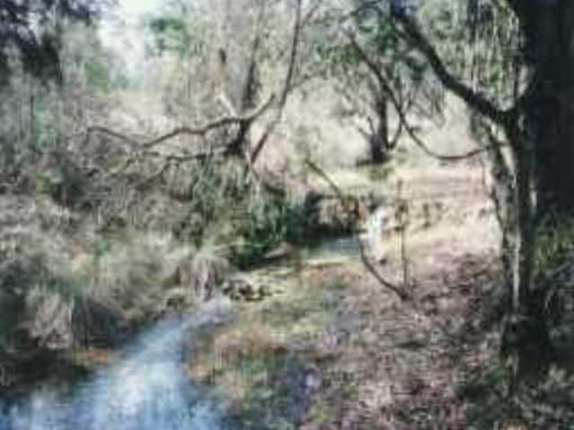 801 PANORAMA DR