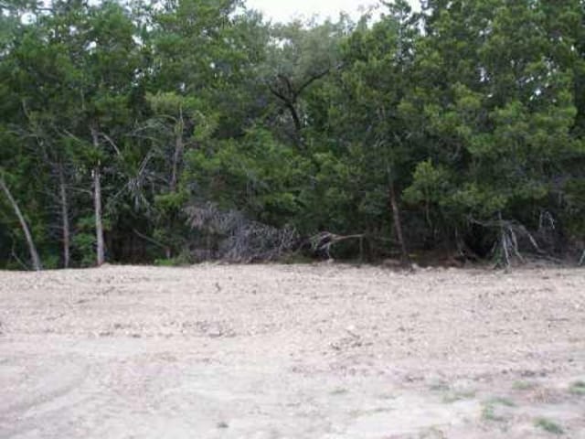 802 Shady Bluff CV