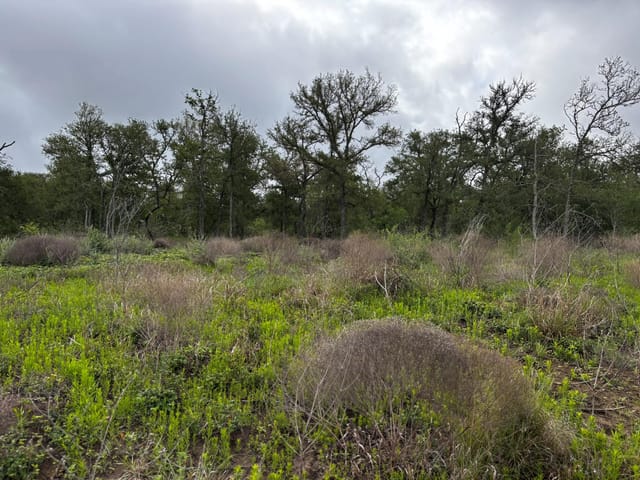 805 County Road 467