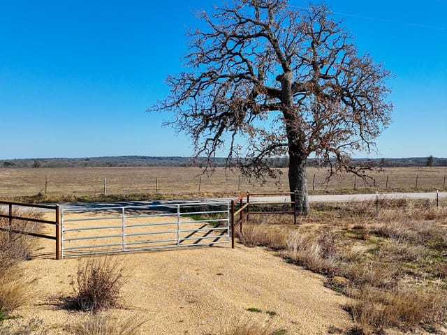 8200 Old Colony Line Rd