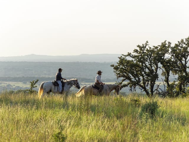 8577 Ranch Road 2766