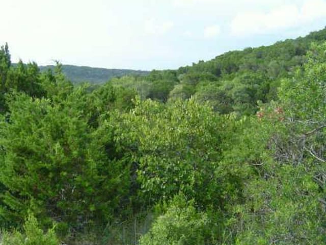 8905 Wagoner CV