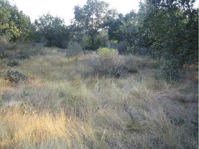 9 JUNIPER TRL