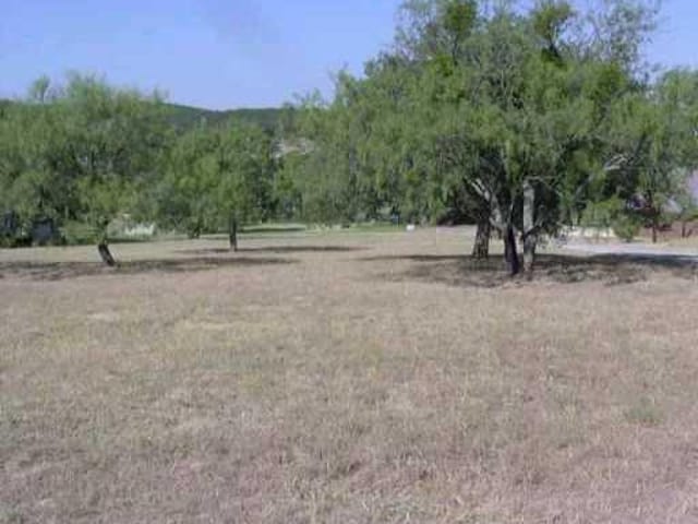 9 Willow