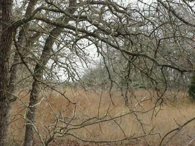 900 Gruetzner RD