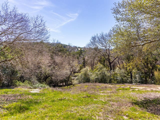 902 Yaupon Valley Rd