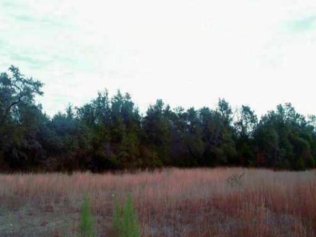 930 SPRINGLAKE DR