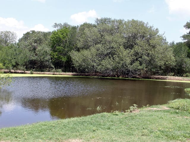 9411 FM 86 Hwy