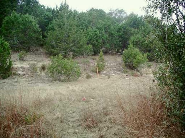 9703 TIMBER RIDGE PASS
