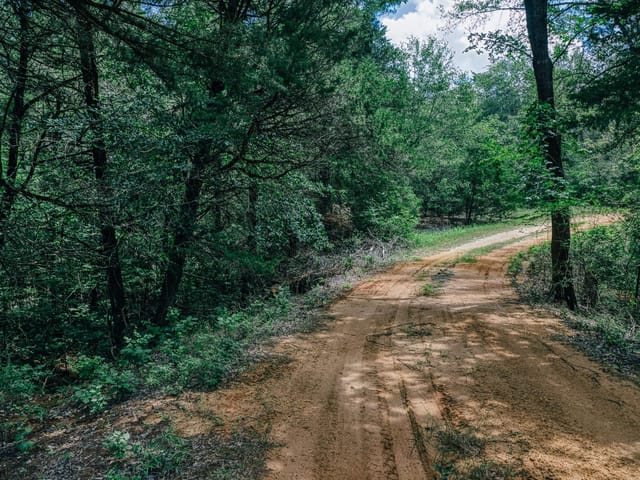 9713 County Road 316