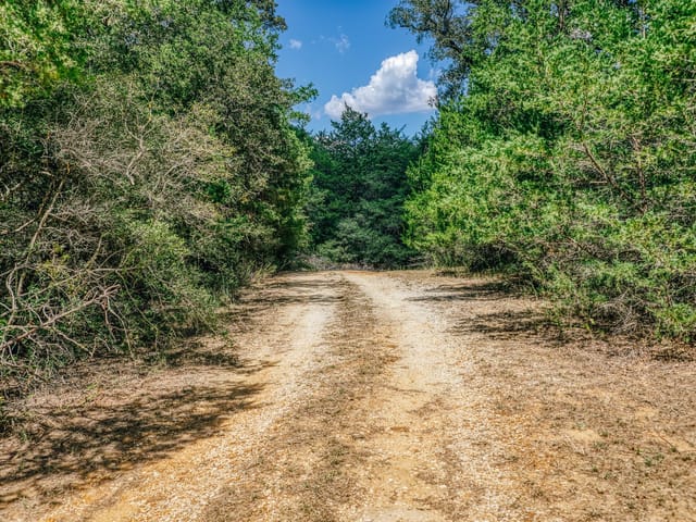 9713 County Road 316