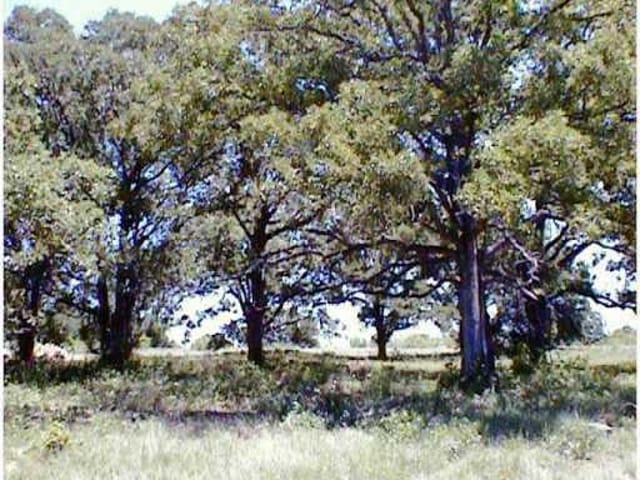C. R. 234