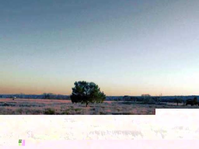 CO. RD. 329