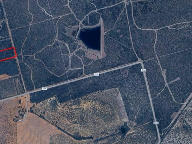 . County Road 354