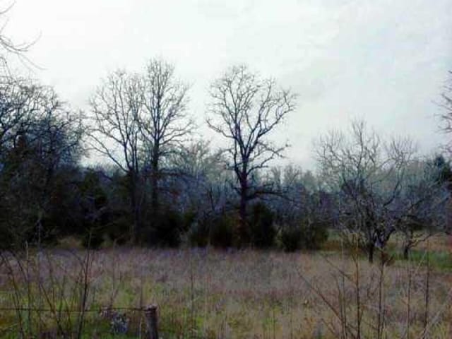 CR 134 MULE CREEK RD