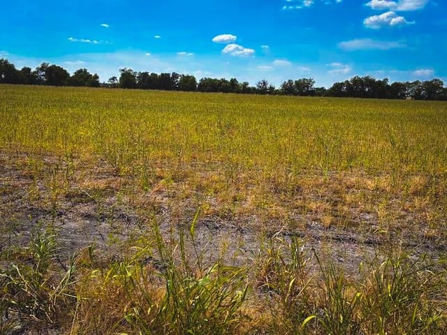 CR 3061 lot 1 Highway