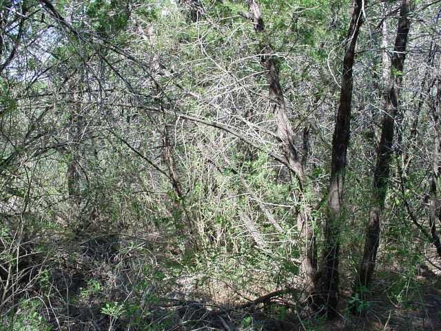 Deer lCreek Ranch Lot 5A Deer Creek Ranch Lot 5B
