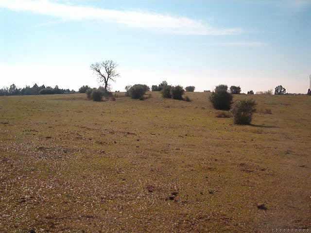 FM 696 FM 696