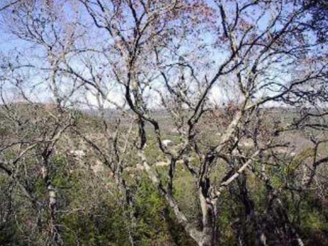HILLTOP