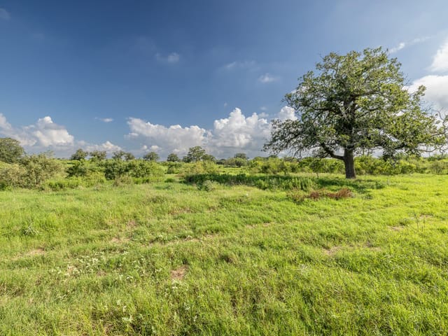 Lot 1-B County Road 491