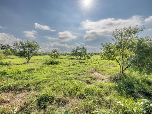 Lot 1-C County Road 491