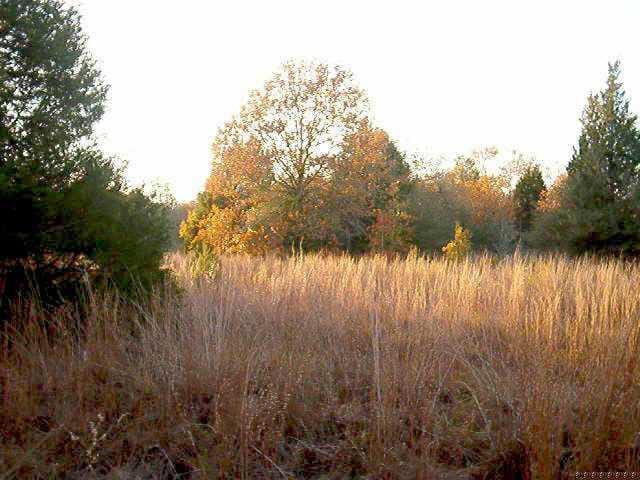 Lot 1 Peach Creek RD