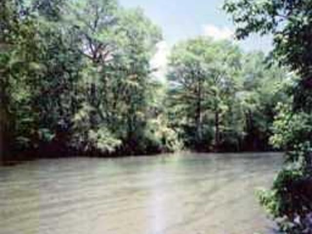 LOT 11 BLANCO RIVER LOOP