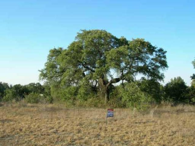 Lot 11 C.R.204 @ C.R.200