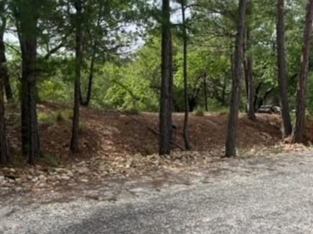 Lot 1114 KAOHIKAIPU DR