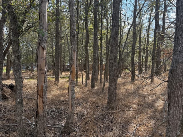 Lot 118 W Keomuku LN